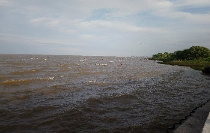 Relevamiento y diagnóstico de la costa del Río de la Plata
