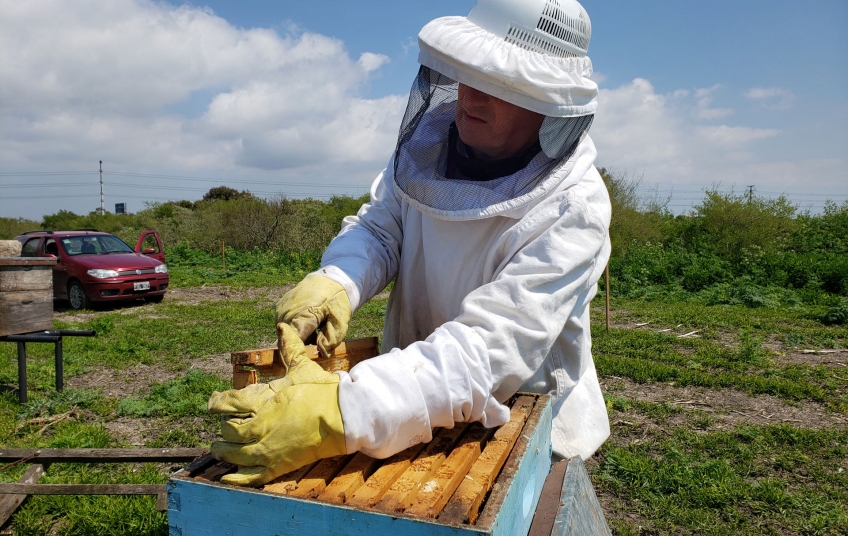 Le salvaron la vida a apicultor atacado por abejas