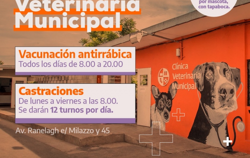 La Clínica Veterinaria Municipal de Berazategui refuerza las acciones de castración y vacunación gratuitas