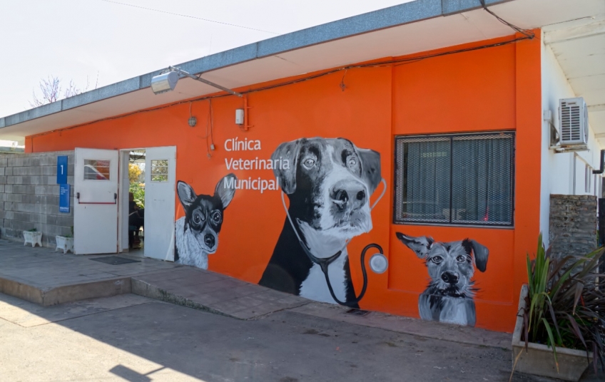Clínica veterinaria municipal de Berazategui, un modelo a seguir