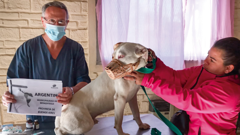 Berazategui en la 1° jornada de castración masiva de perros y gatos en América Latina
