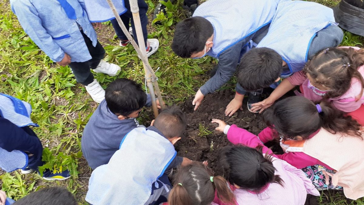 En Berazategui, ya funcionan más de 100 escuelas sustentables