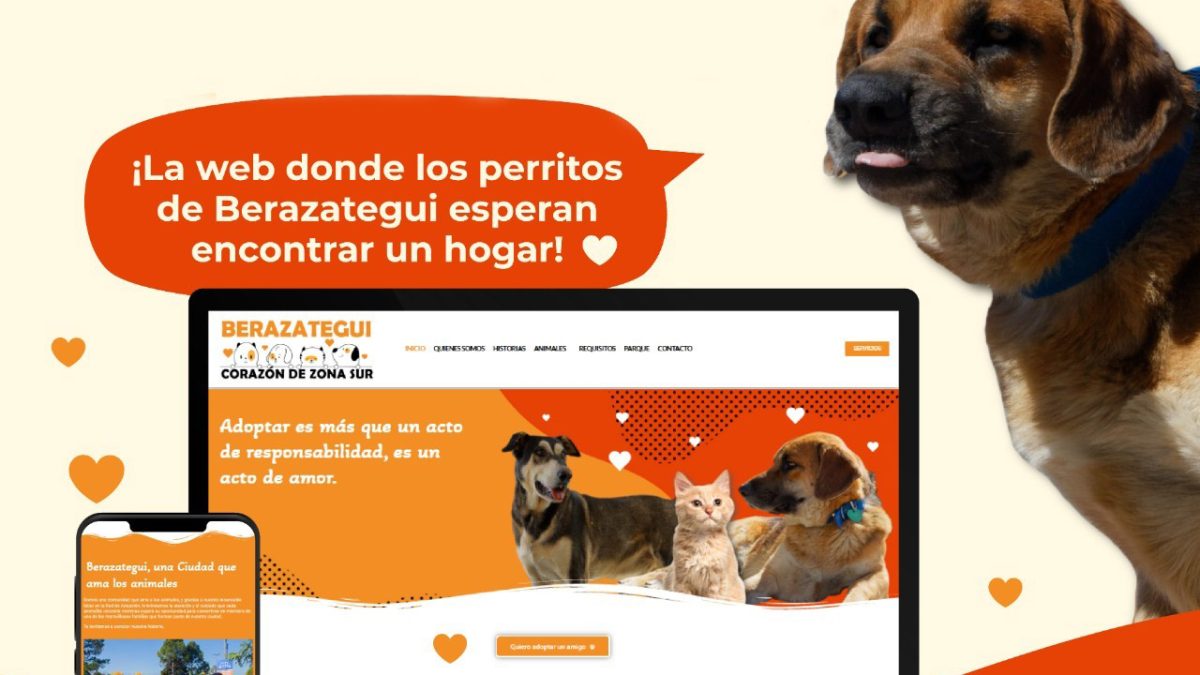 Corazón de Zona Sur: La web Berazateguense para la adopción de animales