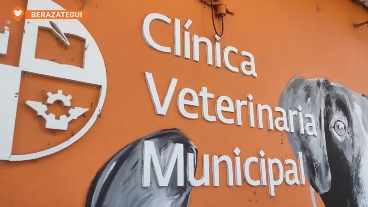La Clínica Veterinaria Municipal de Berazategui cumple 10 años