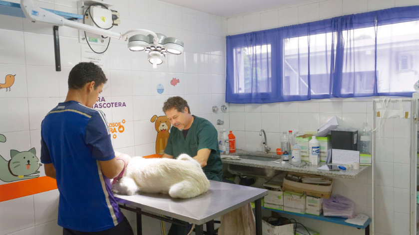 Clínica Veterinaria Municipal: la primera en el país