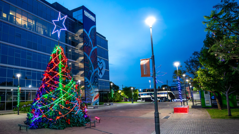Berazategui ya luce su tradicional árbol navideño sustentable