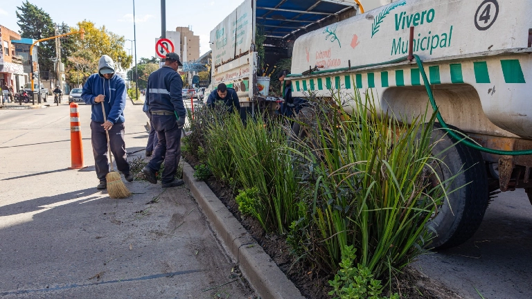 El Vivero Municipal continúa embelleciendo los espacios públicos de Berazategui