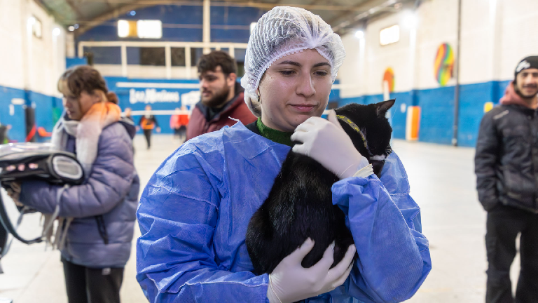 Siguen las jornadas municipales de salud animal en Berazategui
